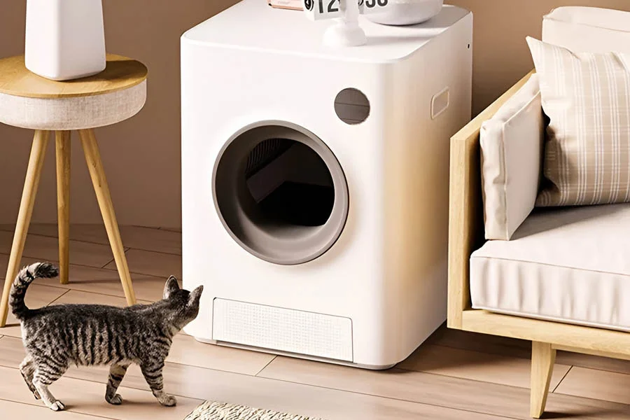 odor free litter box